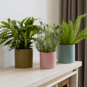Plant pots, set of 3 'Turin'