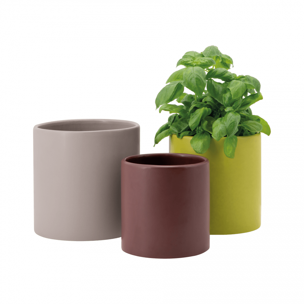 Plant pots, set of 3 'Siena'